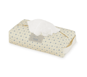 Feuchttuchetui Capri