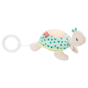 Mini-Spieluhr Schildkröte