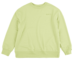 Levi's Kids Sweatshirt Nile Green