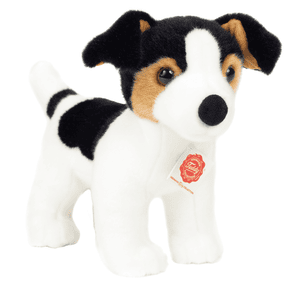 Jack Russell Terrier Welpe, 28 cm