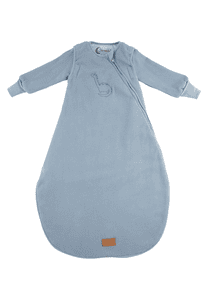 Schlafsack mit Armen Dino Rexi blau