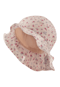 Sonnenhut Blumen zartrosa