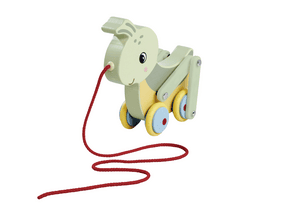 Nachzieh-Grashüpfer