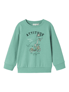 Sweatshirt Nmmvalexander Creme De Menthe