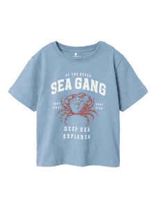 T-Shirt Nmmfabi Spring Lake
